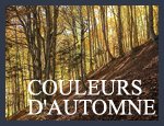 Couleurs d'automne