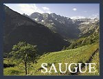 Plateau de Saugu�
