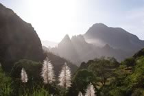 Les oasis atlantiques 