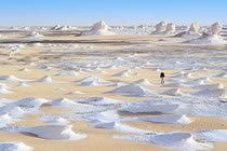 Désert Blanc et oasis du sud Désert Blanc et oasis du sud