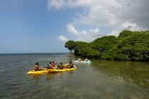 Trésors des Caraïbes Trésors des Caraïbes