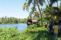 Douceurs du Kerala