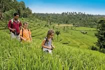 Bali, l'�le des dieux