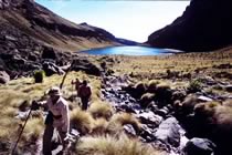 Mont Kenya et Kilimandjaro Mont Kenya et Kilimandjaro