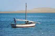 De l’Adrar au Banc d'Arguin De l’Adrar au Banc d'Arguin