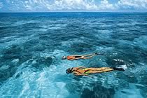 Maldives, d'île en île Maldives, d'île en île