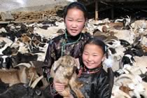 Grande travers�e de la Mongolie