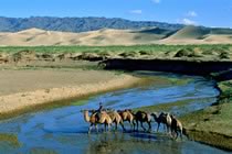 Du d�sert de Gobi aux steppes du Khanga�