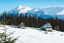 Echappée hivernale en terres polonaises Echappée hivernale en terres polonaises