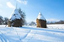 Douces neiges de Bucovine Douces neiges de Bucovine
