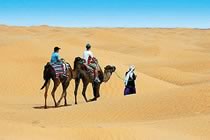 Dunes et chameliers en herbe