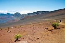 Hawa�, entre jungle et volcans