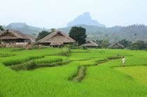 Balade indochinoise