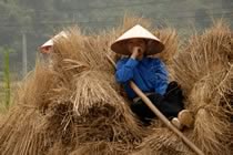 Du Tonkin aux Khmers, l�gendes du pass�