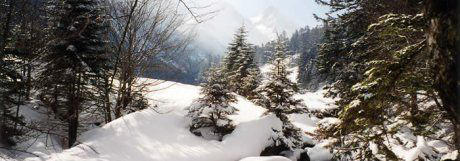 Vall�e du Lutour