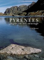 Couverture du livre : Fugue en sol sauvage de Louis Drouot