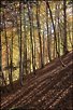 Couleurs d'automne