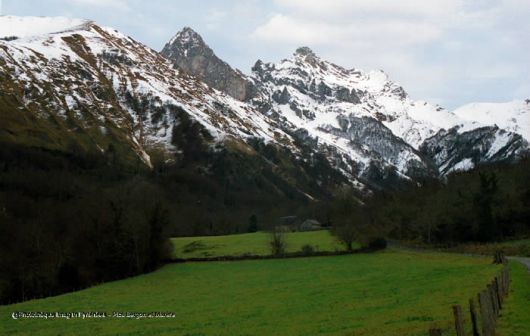 Randonn&eacute;e et trekking : Bergon/Mar�re(Imag'In Pyr�n�es)
