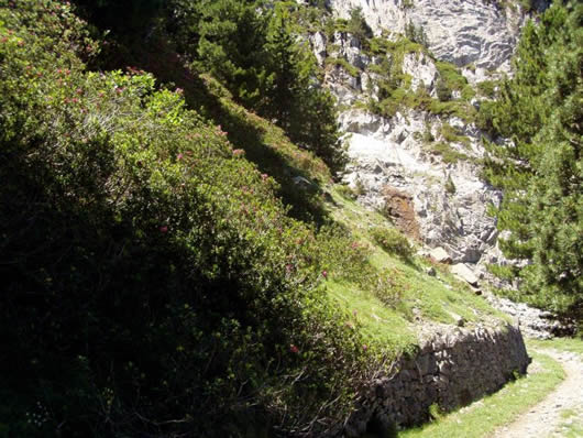 Randonn&eacute;e et trekking : P�gu�re