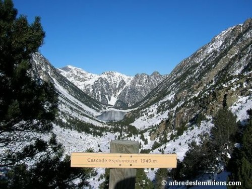 Randonn&eacute;e et trekking : Cascade d'Esplumouse