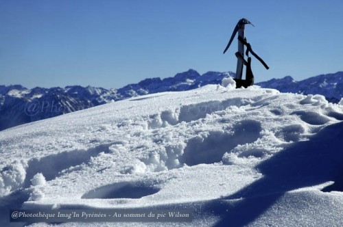Randonn&eacute;e et trekking : Au pic Wilson
