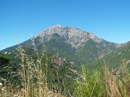 Randonn&eacute;e et trekking : Monte d'Oro