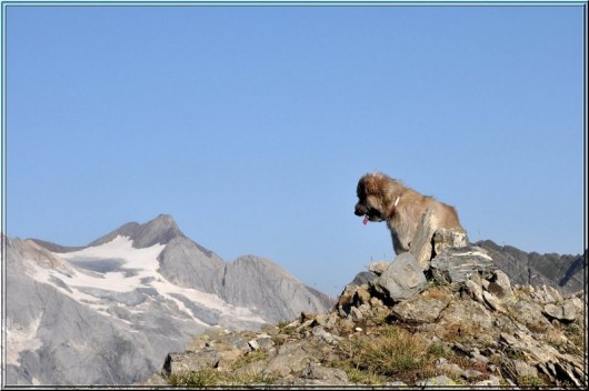 Randonn&eacute;e et trekking : Le Vignemale
