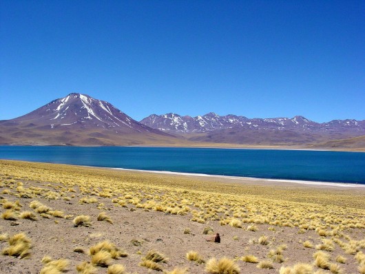 Randonn&eacute;e et trekking : Laguna Miscanti