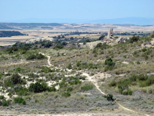 D�sert des Bardenas Reales - 9
