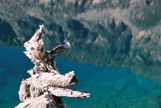 Randonn&eacute;e et trekking : le lac Noir