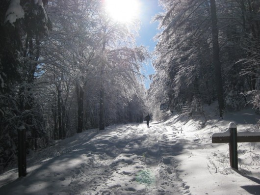 Randonn&eacute;e et trekking : Raquettes en C�vennes