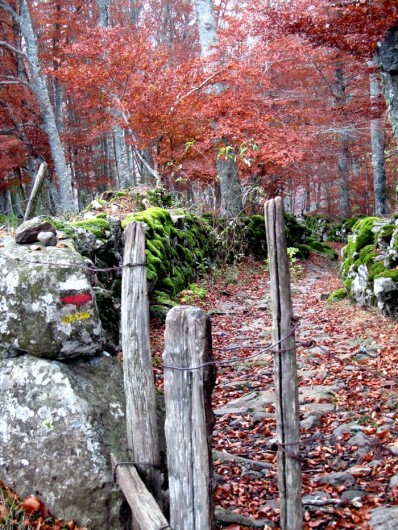 Randonn&eacute;e et trekking : Randonn�e La Voie Romaine AUBRAC Aveyron 12