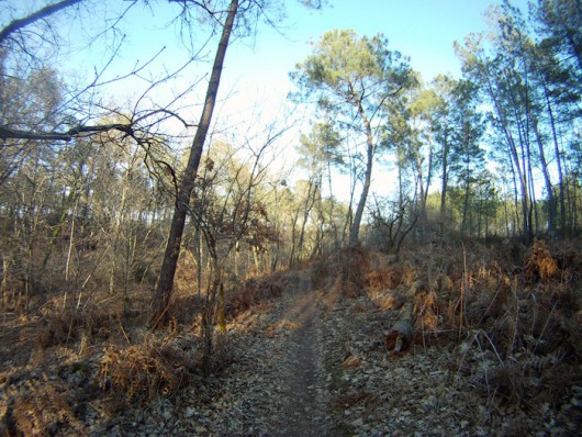 Randonn&eacute;e et trekking : Les sentier VTT de Saint M�dard en Jalles