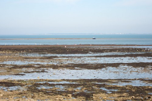 Randonnée et trekking : Ile de Ré Randonnée et trekking : Ile de Ré