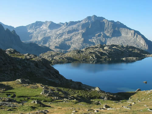 Pala Alta Pala Alta