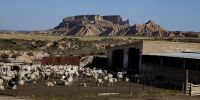 Bardenas reales