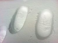 Il a beaucoup neig� avant notre venue, la neige est poudreuse 