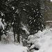Rivi�re sous la neige