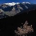 Canigou