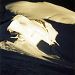 Ombres et lumi�res