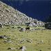 isard en montant � Pombie