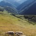 Vall�e de la Pique depuis la mont�e au C�cir�.