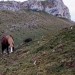 Casque du Lh�ris