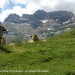 Lac de Cestr�de