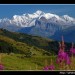 Mont blanc vu du col de Joux Plane