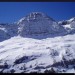 le taillon