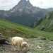 Pics d'Aule et d'Aul�re