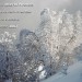 F�tes de fin d'ann�e