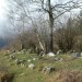 Cromlechs Lous Couraus