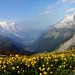 Chamonix - Mont Blanc